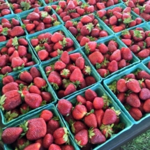 strawberry quarts